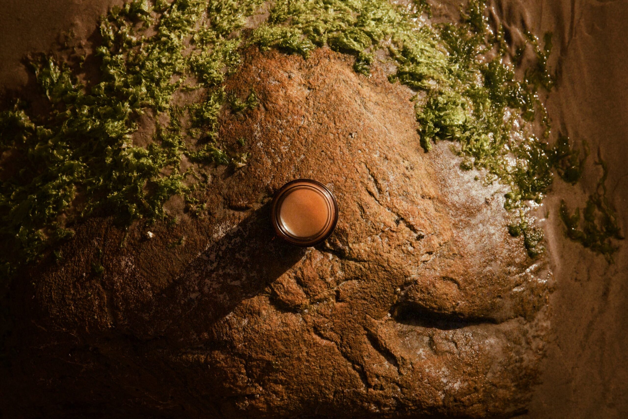 Como a Tuoamisse usa tecnologia da floresta para criar fórmulas naturais para a saúde