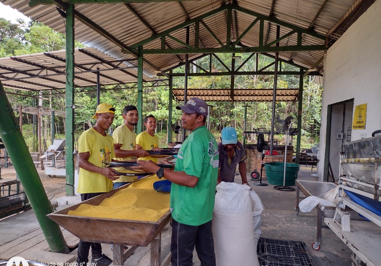 Como a relação com comunidades tradicionais da Amazônia ajudou a Apoena Agroindústria