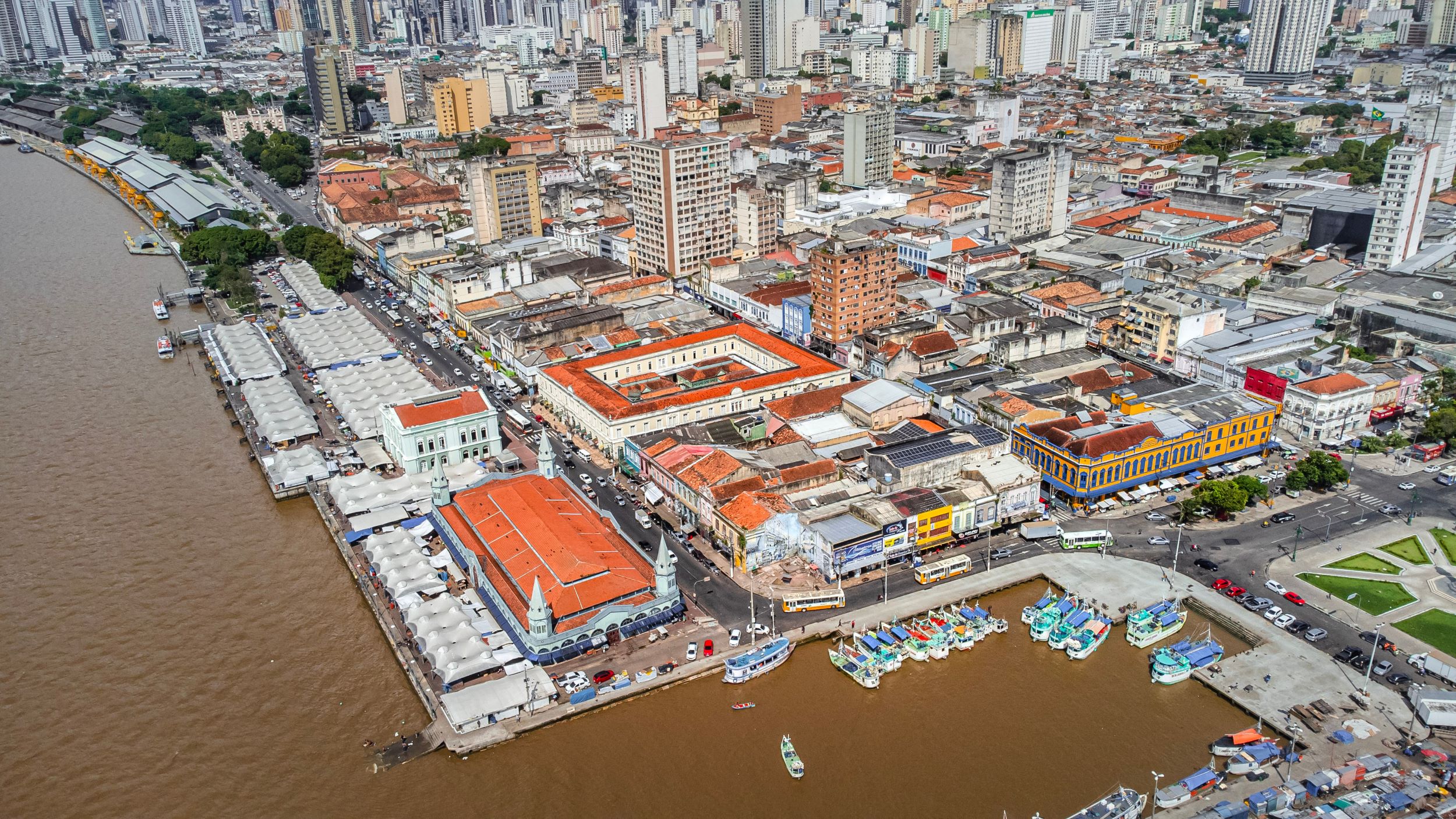COP30: como startups da bioeconomia podem se beneficiar da COP em Belém